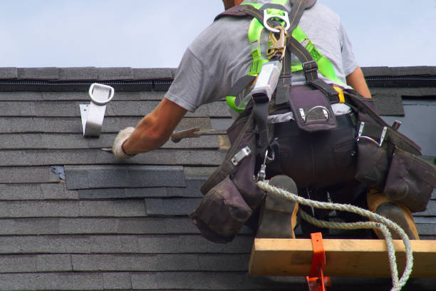 Roof Gutter Cleaning in St Anthony, MN