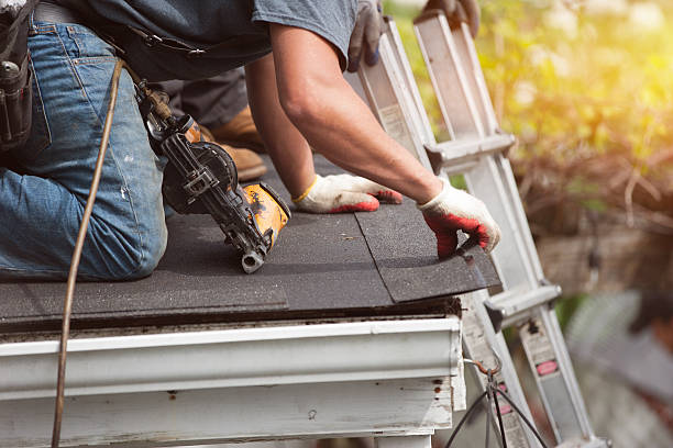 Best Roof Gutter Cleaning  in St Anthony, MN